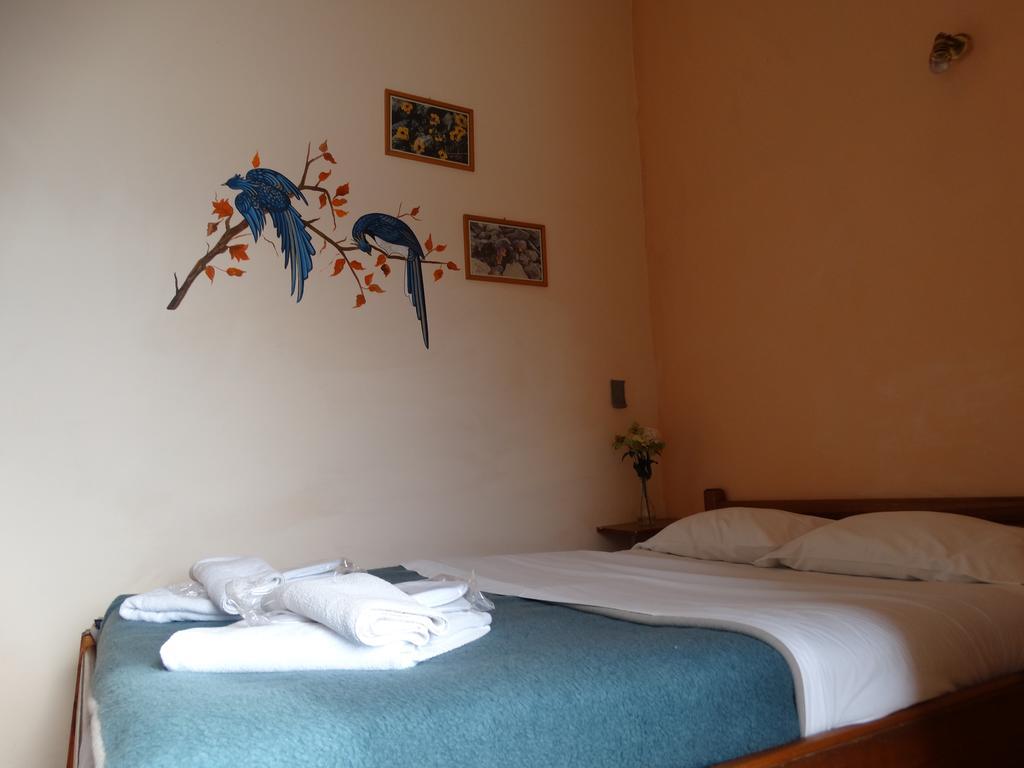 Akrotainaritis Rooms ゲロリメナス 部屋 写真